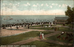 Beach Cedar Point Postcard