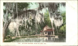 De Leon Springs DeLand, FL Postcard Postcard