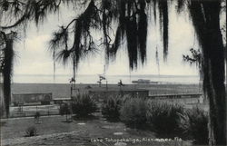 View of Lake Tohopekaliga Postcard