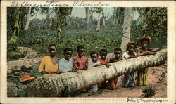 Eight Little Pickaninnies Kneeling in a Row Postcard