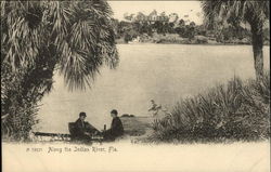 Along the Indian River Florida Postcard Postcard