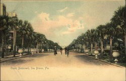 Ocean Boulevard Postcard