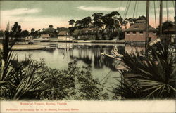 Scene at Tarpon Springs Florida Postcard Postcard