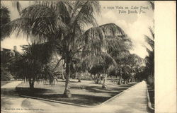 Vista on Lake Front Palm Beach, FL Postcard Postcard