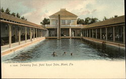 Swimming Pool, Hotel Royal Palm Postcard