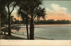 Lake Lucerne Orlando, FL Postcard Postcard