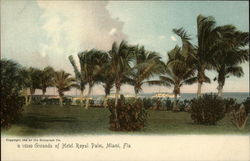 Grounds of Hotel Royal Palm Postcard