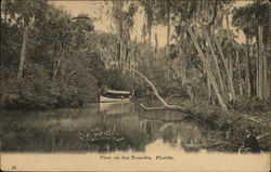 View on the Tomoka Postcard