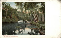 View on the Tomoka Postcard