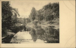 Suwanee River Florida Postcard Postcard