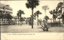 Grounds of Hotel Ormond Florida Postcard Postcard