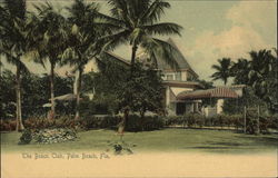 The Beach Club Palm Beach, FL Postcard Postcard