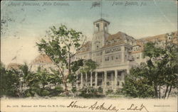 Royal Poinciana, Main Entrance Postcard