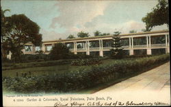 Garden & Colonnade, Royal Poinciana Postcard