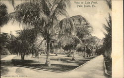 Vista on Lake Front Postcard