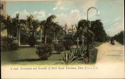 Promenade and Grounds of Hotel Royal Poinciana Postcard