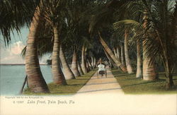 Lake Front Postcard