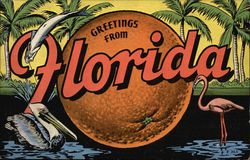 Greetings from Florida Postcard