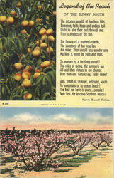 Legend of the Peach of The Sunny South Postcard