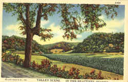 Valley Scene Postcard