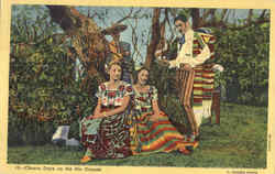 Charro Days on the Rio Grande Postcard