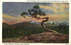 Rocky Mountain National Park Postcard