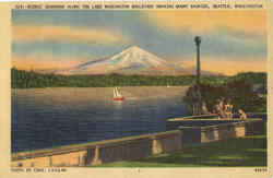 Scenic Grandeur Along The Lake Washington Boulevard Showing Mount Rainer Seattle, WA Postcard Postcard