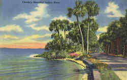 Florida's Beautiful Indian River Vero Beach, FL Postcard Postcard