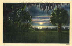 Moonlight on St. Andrews Bay Postcard