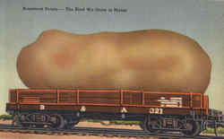 Arodstook Potato Exaggeration Postcard