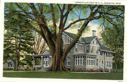 Largest Elm Tree In The United States Marietta, OH Postcard Postcard