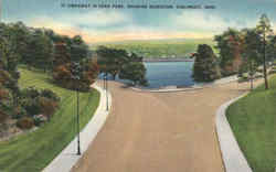 Driveway in Eden Park Postcard