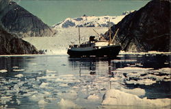 Tracy Arm Postcard