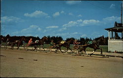 Pinehurst Race track Postcard