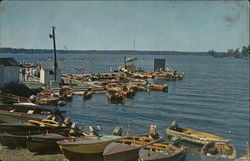 Regatta Day Postcard