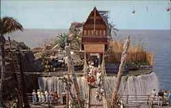 South Sea Island, Pacific Ocean Park Postcard