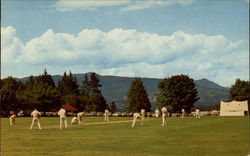 Game of Cricket, Stanley Park Postcard