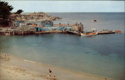 Glass Bottom Boats and Pier Postcard