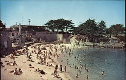 Pacific Grove Beach California Postcard Postcard