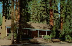 Big Trees Lodge Yosemite, CA Yosemite National Park Postcard Postcard