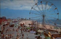 Santa Cruz Beach California Postcard Postcard