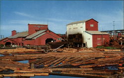 Union Lumber Company Fort Bragg, CA Postcard Postcard