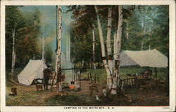 Camping in the White Mountains Postcard