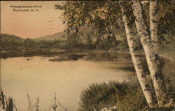 Pemigewasset River Plymouth, NH Postcard Postcard