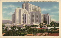 The Los Angeles County General Hospital California Postcard Postcard