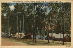 Fish Creek State Camping Grounds, Adirondack Mts Tupper Lake, NY Postcard Postcard