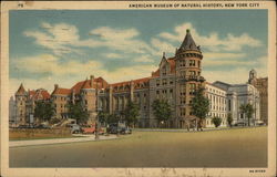 American Museum of Natural History New York, NY Postcard Postcard