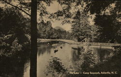 The Lake - Cam Sequoyah Asheville, NC Postcard Postcard