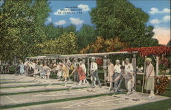 Playing Shuffleboard Postcard