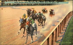 Home Stretch, Havre de Grace Race Track Postcard